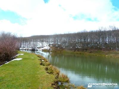 Hayedo Montejo; Reserva Biosfera Sierra Rincón; rutas de senderismo en madrid; senderismo cerca de 